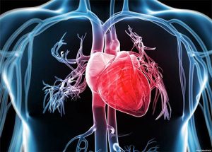 Suy tim là gì? Nguyên nhân và mức độ nguy hiểm của suy tim