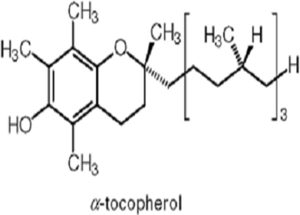 2 công dụng chính của alpha-tocopherol trong cơ thể