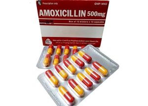 Dược sĩ hướng dẫn sử dụng liều dùng của thuốc Amoxicillin