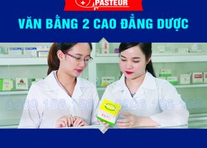 Thời gian bắt đầu đăng ký dự tuyển Văn bằng 2 Cao đẳng Dược Hà Nội