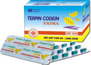 Dược học hướng dẫn sử dụng thuốc Terpin Codein