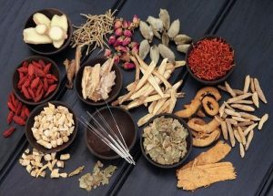 Các bài thuốc Đông Y hỗ trợ điều trị bệnh lao phổi hiệu quả