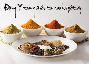 Tìm hiểu một số bài thuốc đông y trị cao huyết áp hiệu quả